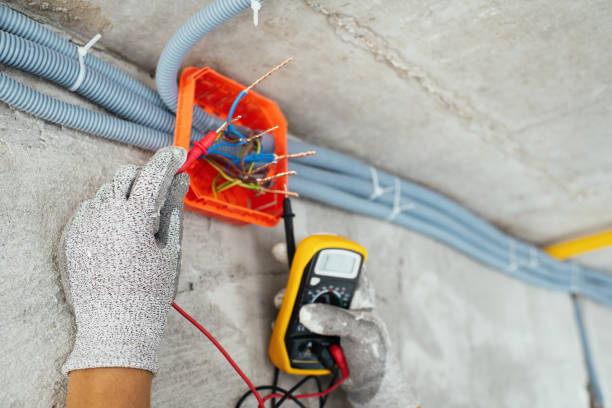 Best Electrical Troubleshooting Services  in Umatilla, FL