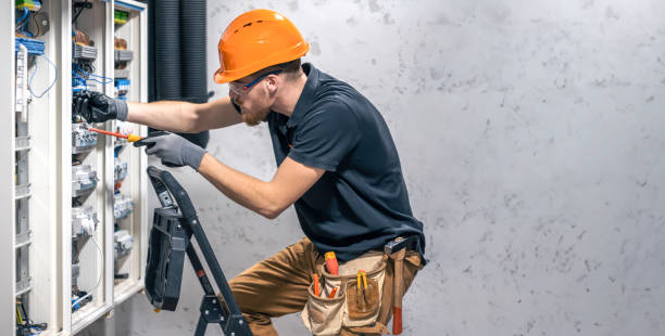 Best Electric Panel Repair  in Umatilla, FL